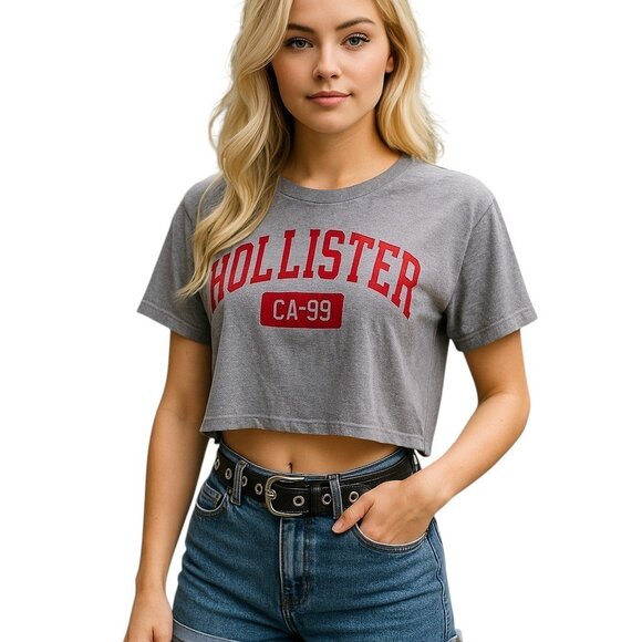 Hollister Crop Top Gray with Red Velvet-like Hollister Logo Medium - Picture 3 of 10